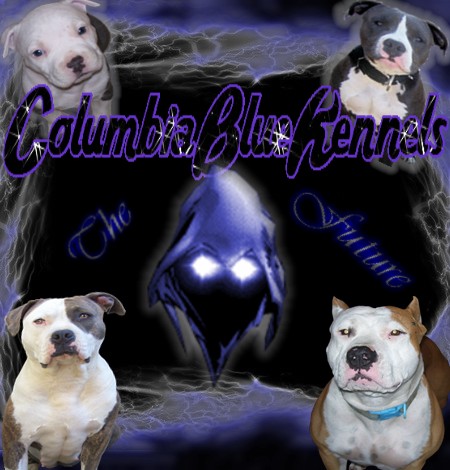 columbiabluebanner.jpg