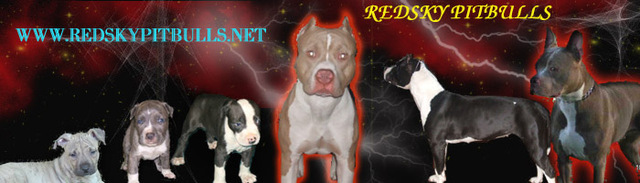 redskybanner.jpg